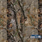 NFL Seattle Seahawks Realtree AP Camo Cochlear Nucleus 6 Skin